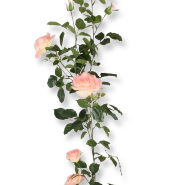 Ros | Rosgirlang rosa 147 cm - Bild 3