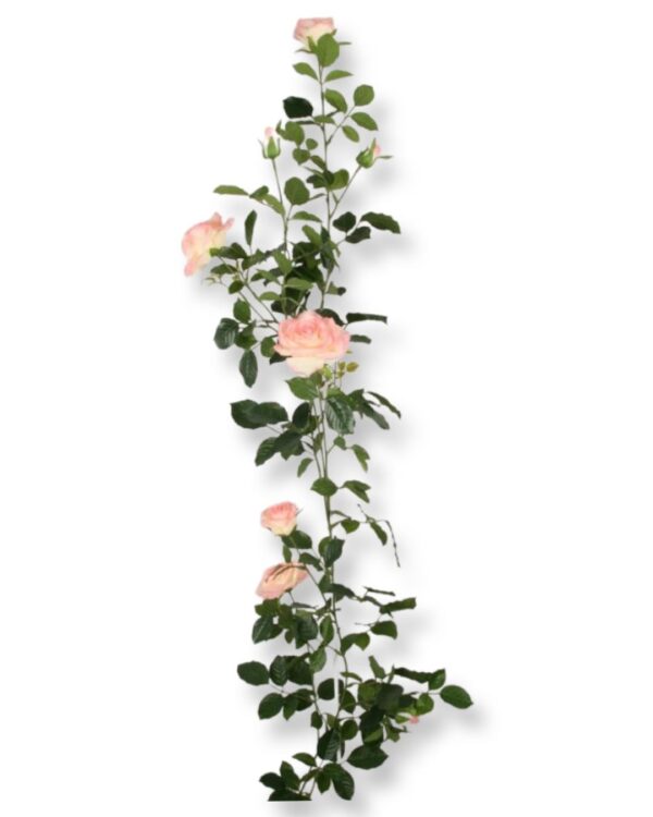 Ros | Rosgirlang rosa 147 cm - Bild 2