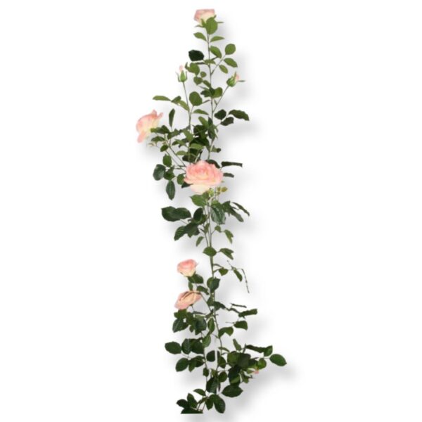 Ros | Rosgirlang rosa 147 cm