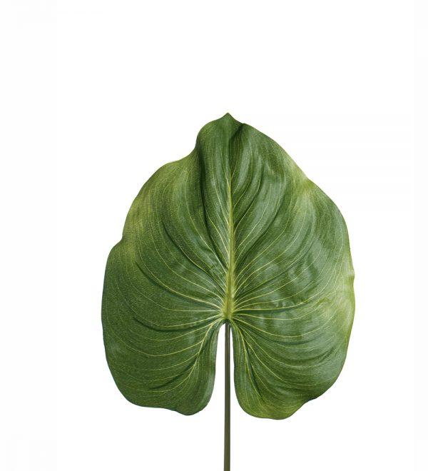 Blad 85 cm
