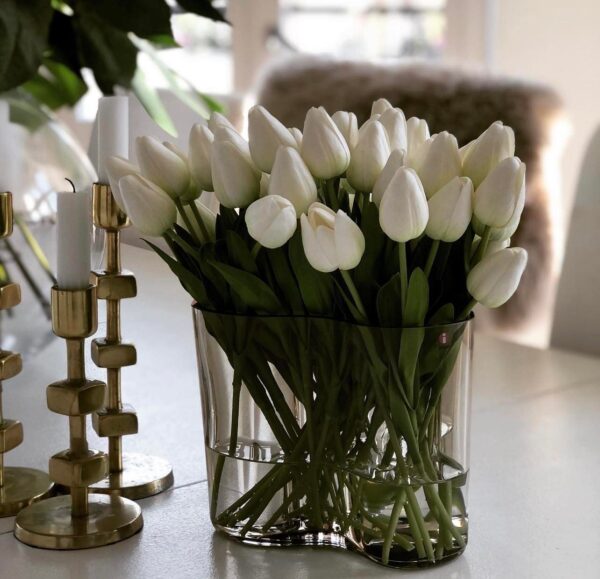 Tulpan | Konstgjord snittblomma Vit smal toppig 40 cm - Bild 2