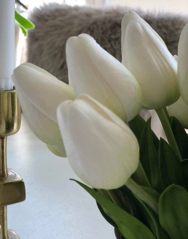 Tulpan | Konstgjord snittblomma Vit smal toppig 40 cm - Bild 3