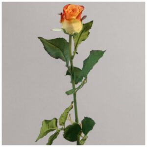 Ros | Orange 62 cm