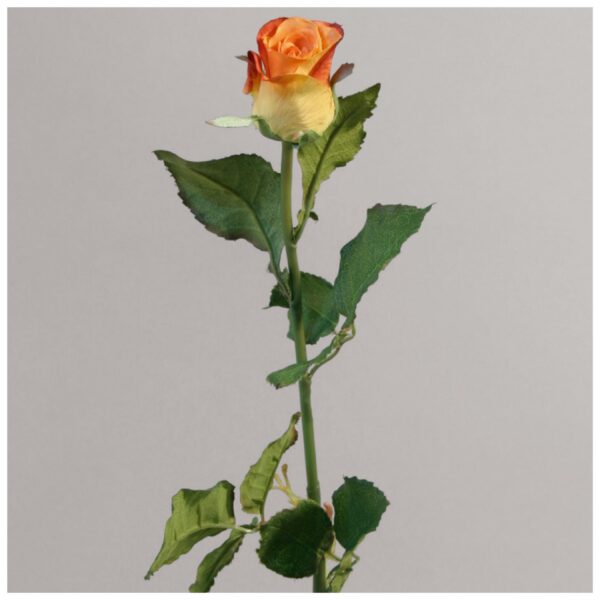 Ros | Orange 62 cm