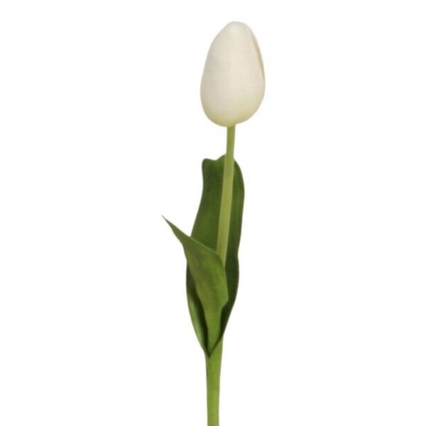 Tulpan | Konstgjord snittblomma Vit smal toppig 40 cm - Bild 5