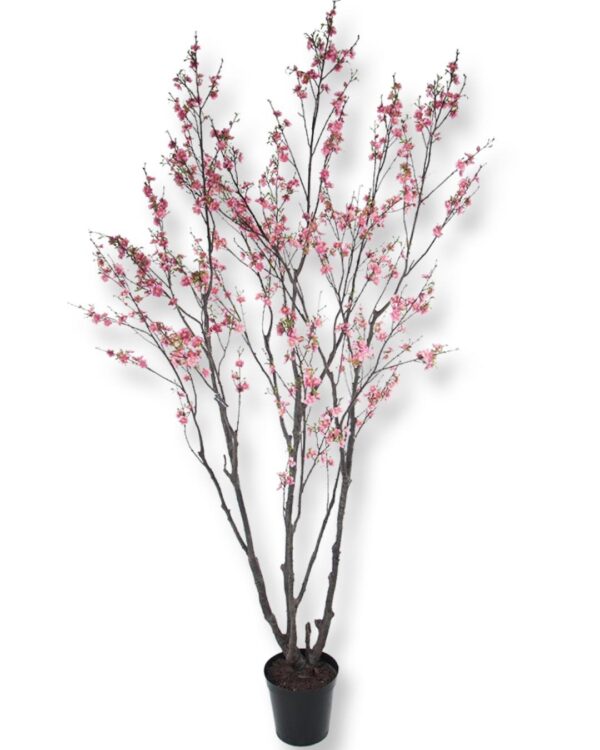 KÖRSBÄRSTRÄD | KÖRSBÄRSBLOM ROSA 240CM - Bild 2
