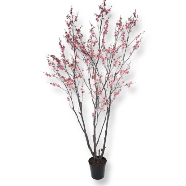KÖRSBÄRSTRÄD | KÖRSBÄRSBLOM ROSA 240CM