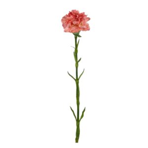Nejlika | Konstgjord snittblomma rosa 55 cm