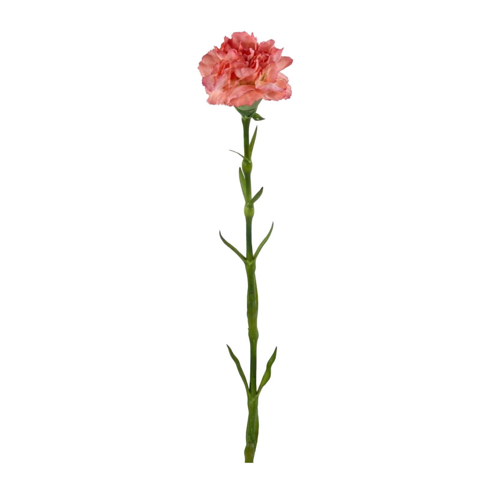 Nejlika | Konstgjord snittblomma rosa 55 cm