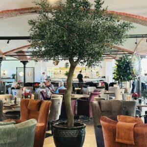 Olivträd i glasbiberstam 320 cm