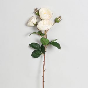 Ros | Sofie 65 cm