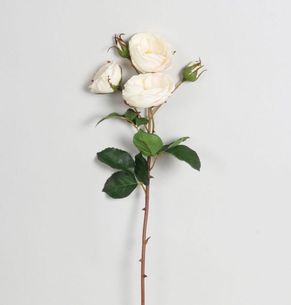 Ros | Sofie 65 cm