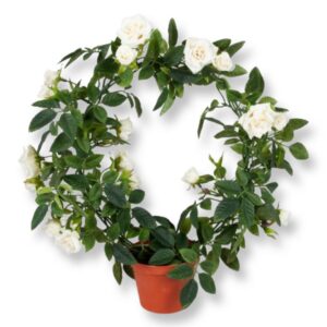 Rosor | Vita rosor på ring 30 cm