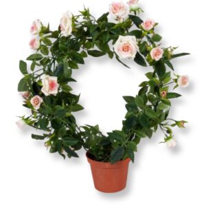 Rosor | Rosa rosor på ring 30 cm