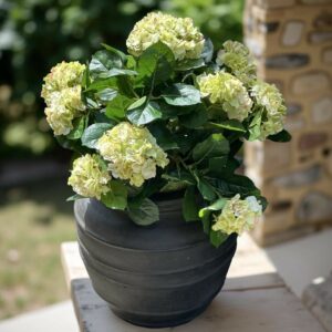 Hortensia | Konstgjord stor krukväxt Cream UV 50 cm