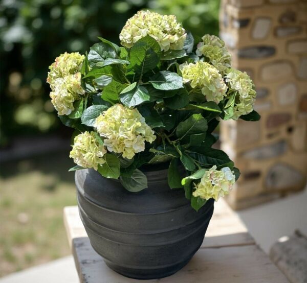 Hortensia | Konstgjord stor krukväxt Cream UV 50 cm