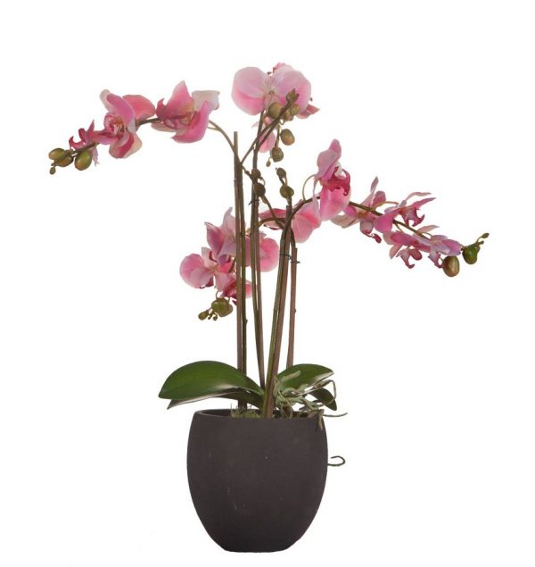 Orkidé | Rosa  55 cm