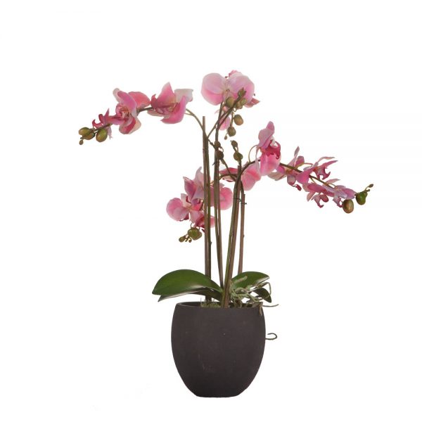 Orkidé | Rosa  55 cm - Bild 3