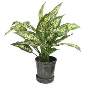 Prickblad konstgjord Krukväxt dekorativa mönster UV 51 cm i grå kruka med fat