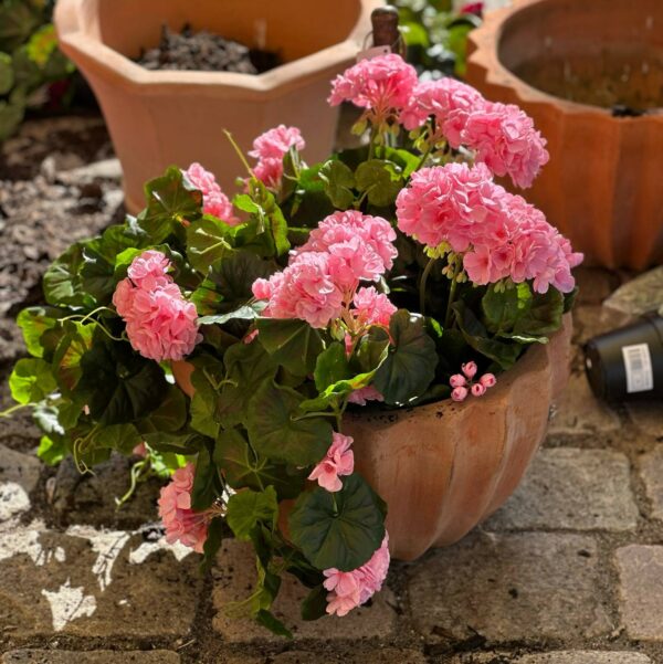 Pelargon | Konstgjord hängpelargon Rosa 65 cm
