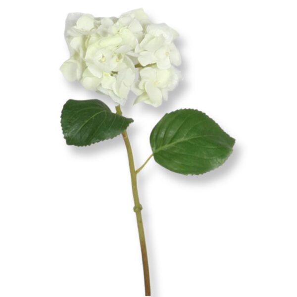 Hortensia | Konstgjord Snittblomma Vit 47 cm - Bild 2