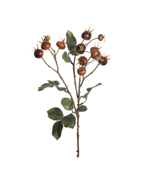 Nyponkvist 65 cm