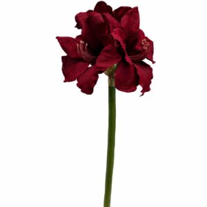 Konstgjord vinröd exklusiv amaryllis UV 75 cm