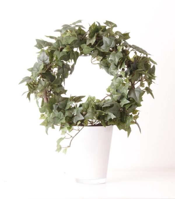 MURGRÖNA | IVY PÅ RING 30 CM - Bild 2
