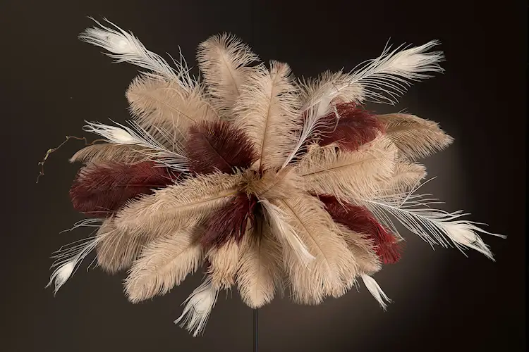 Strutsfjäder Mullvard 60 cm