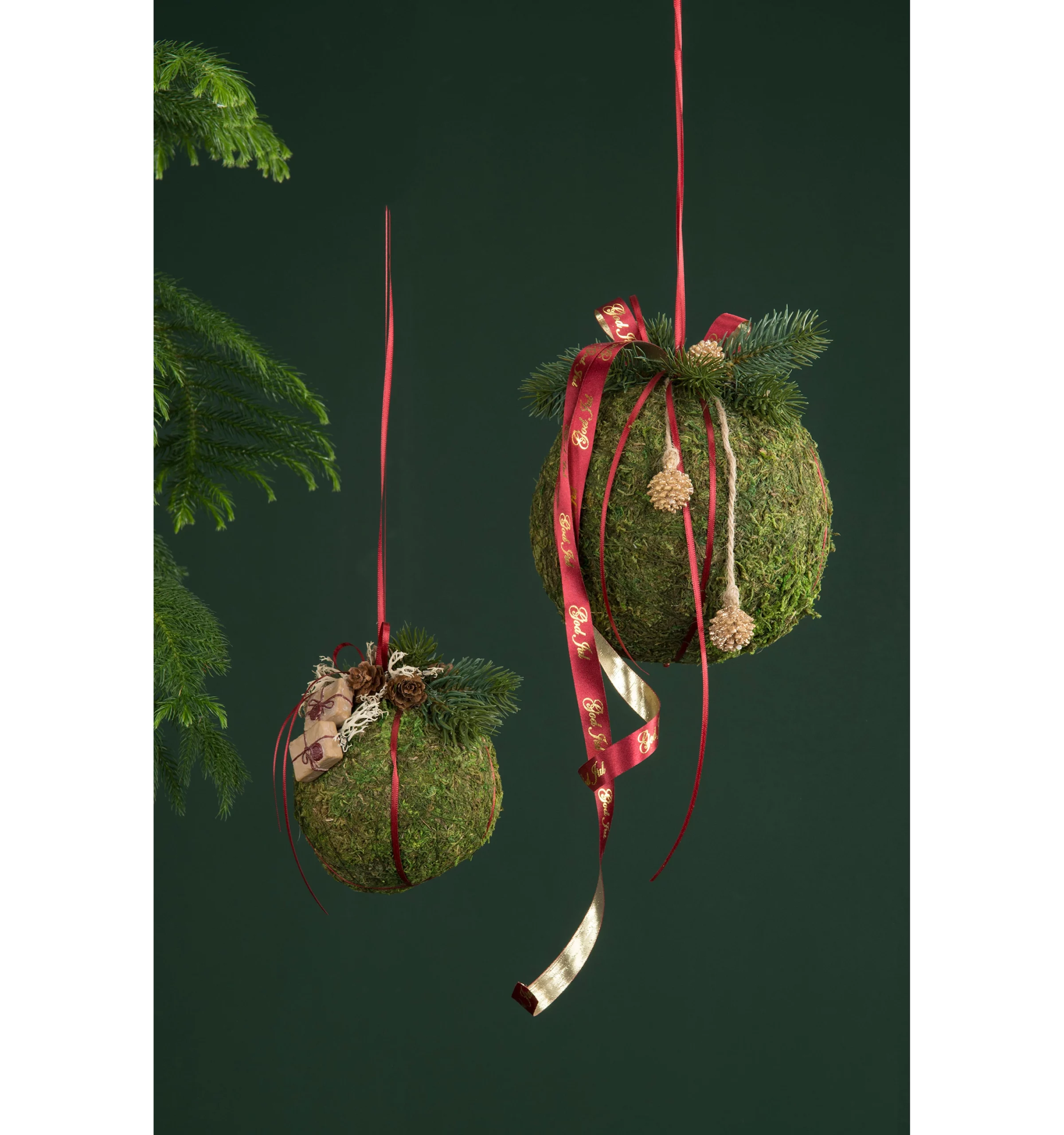 Mossa | Mossboll äta mossa Ø18cm - Bild 6