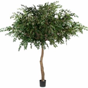 Fikus | Stort Benjamin Paraplyträd Glasfiberträd Grönt 400 cm