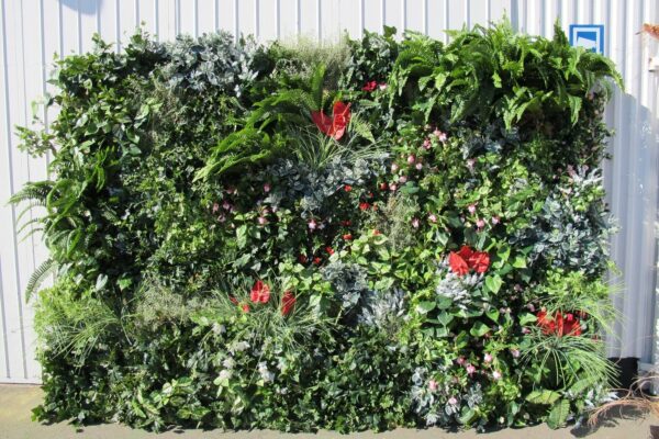 Växtvägg | Mixade gröna växter inslag av röda blommor 100x100 cm (1kvm) - Bild 2