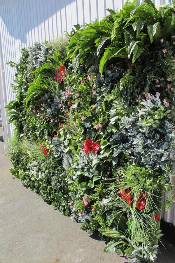 Växtvägg | Mixade gröna växter inslag av röda blommor 100x100 cm (1kvm) - Bild 3