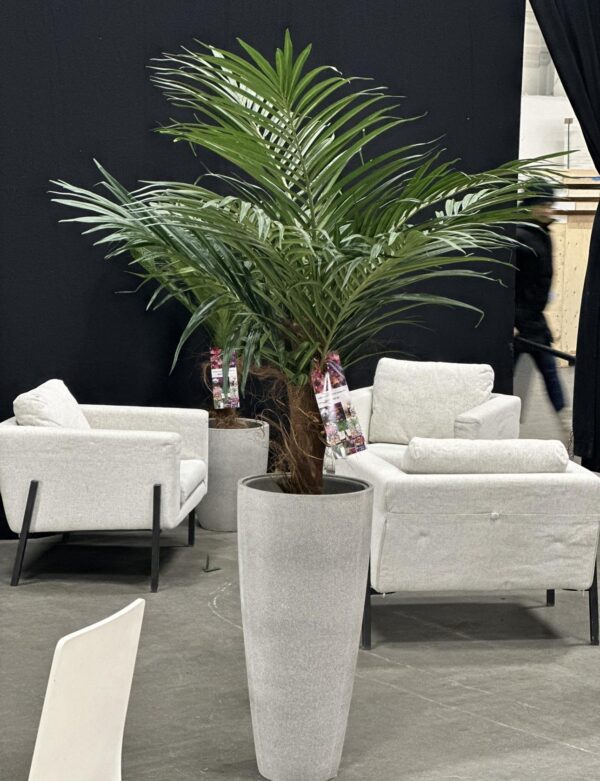 Hyr konstgjord Areca palm 150 cm