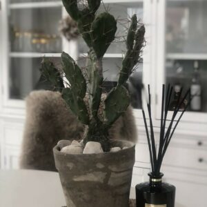 Kaktus | Konstgjord Needle Grön 60 cm