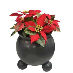 Högklassig konstgjord röd julstjärna i svart kruka ned kulfötter