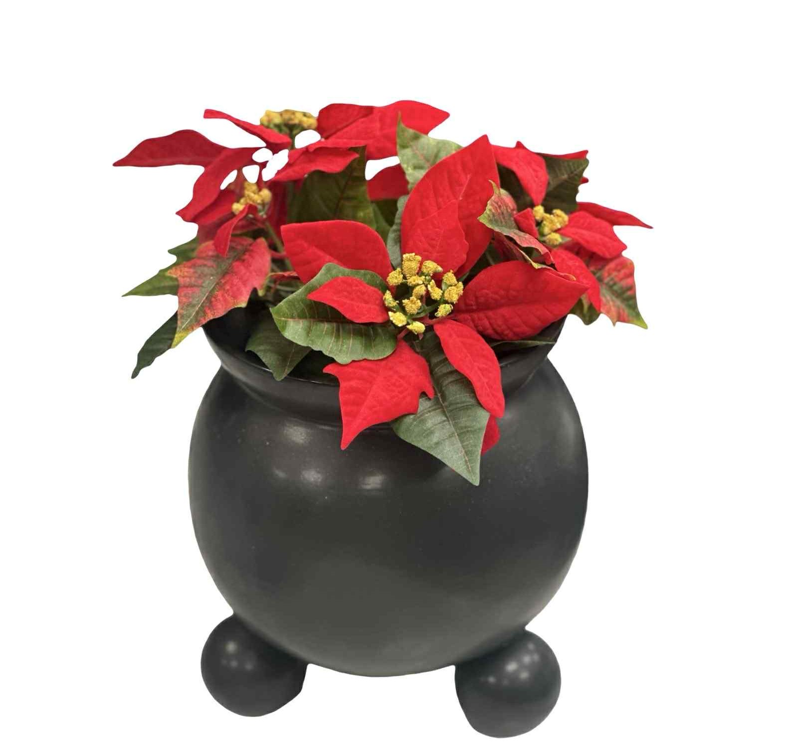 Högklassig konstgjord röd julstjärna i svart kruka ned kulfötter