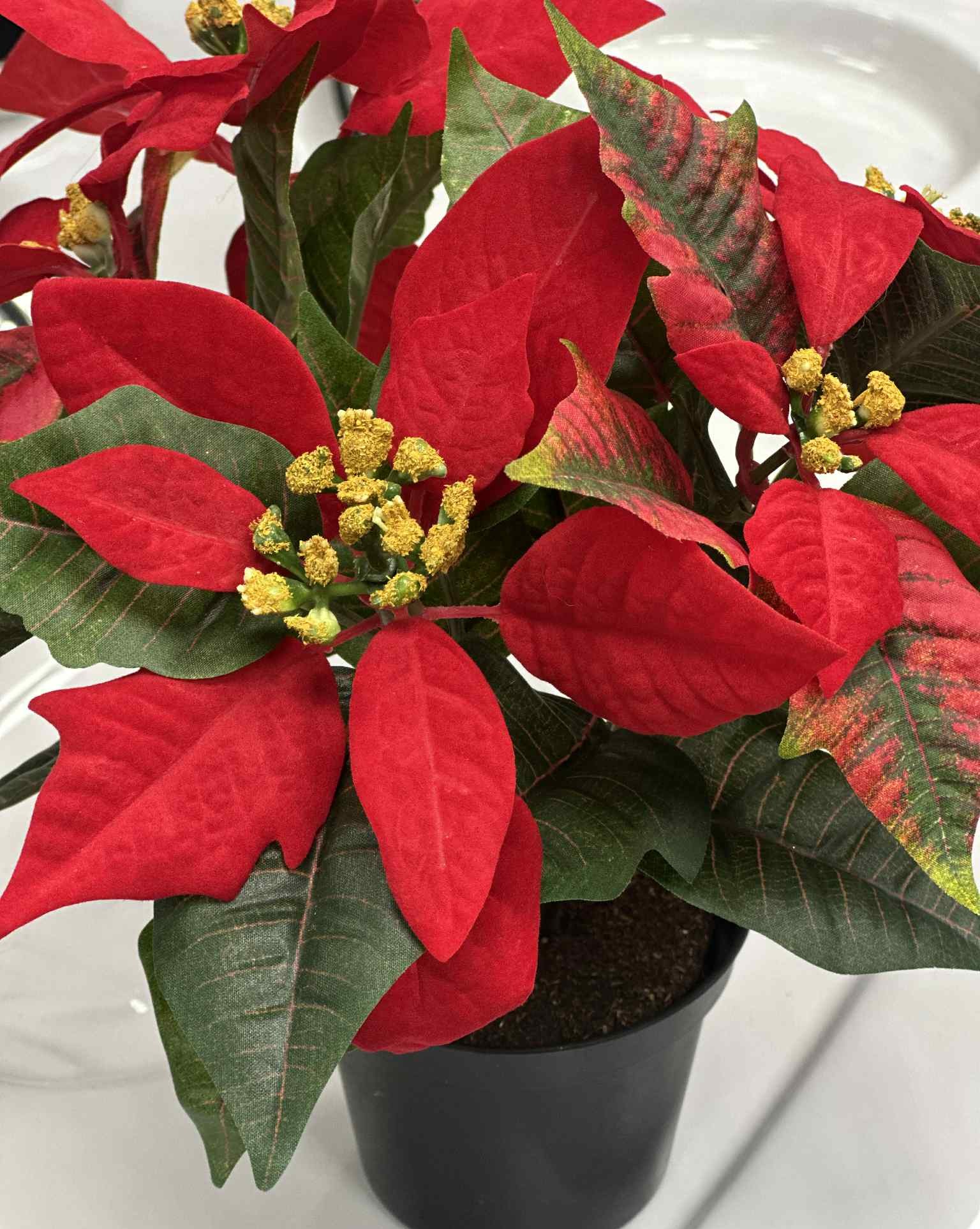 Julstjärna | Konstgjord Poinsetta Röd 25 cm - Bild 4