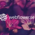 Webflower- Högklassiga konstgjordaväxter & Inredning