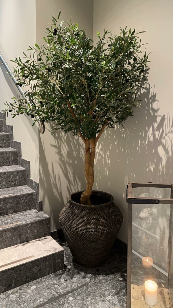 Konstgjort Olivträd 170 cm äkta stam