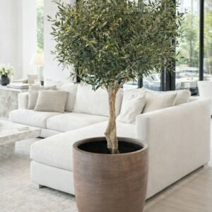 Olivträd | Konstgjord med äkta naturstam 170 cm