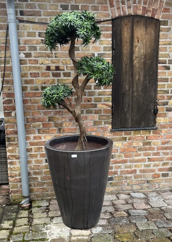 Konstgjord Bonsai Podocarpus 170 cm