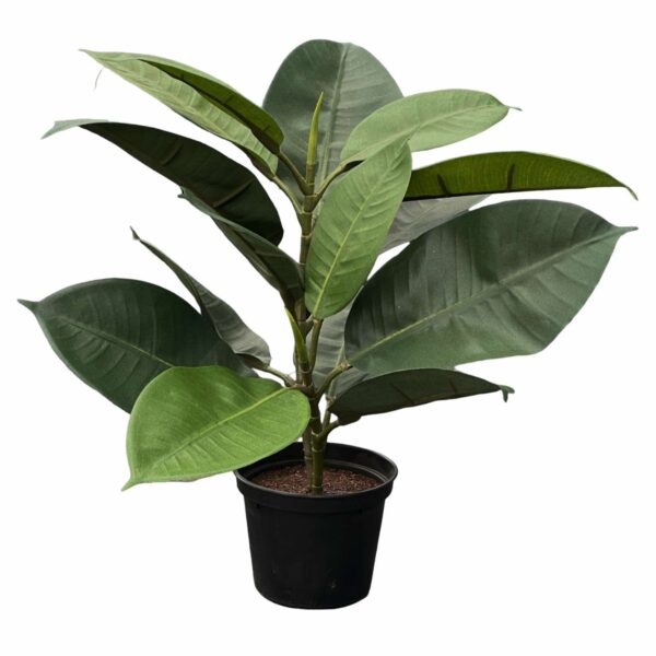 Fikus | Konstgjord Robusta Grön UV 30 cm