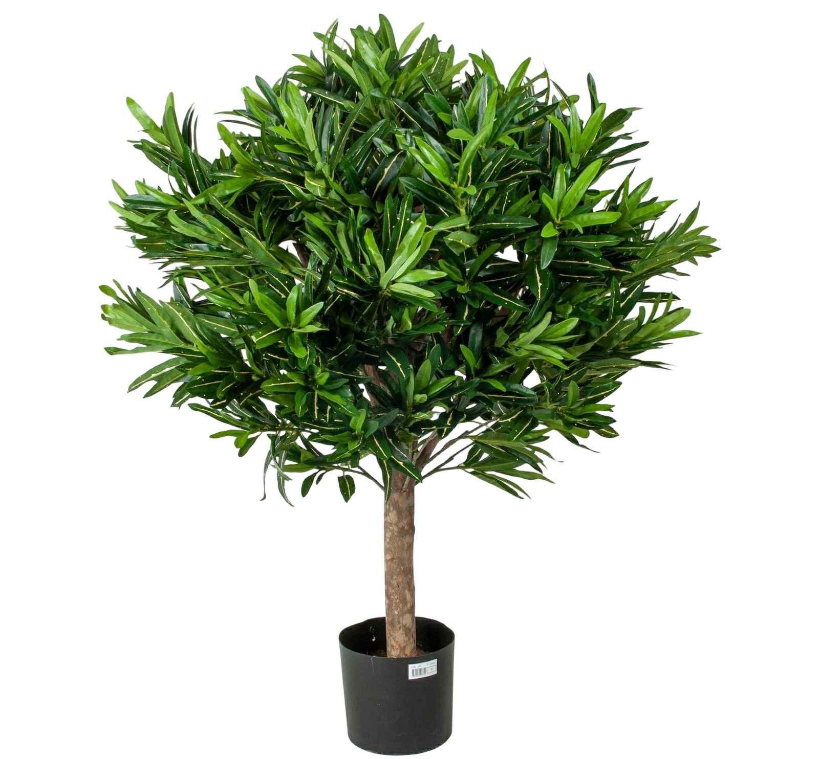 Konstgjord Croton boll på äkta trädstam 100 cm