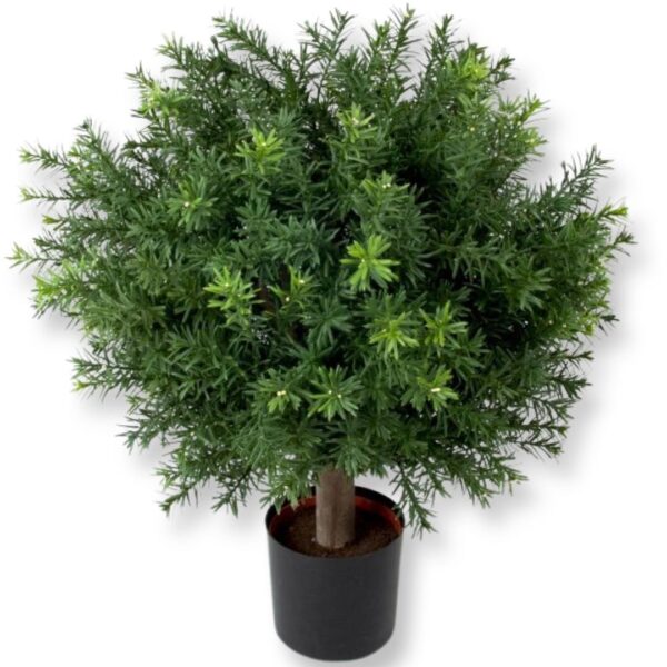 TAXUS | BOLLFORM GRÖN 40 CM