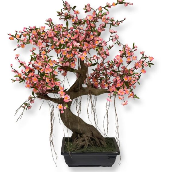 BONSAI | GEISHA KI CERRY PINK 100 CM