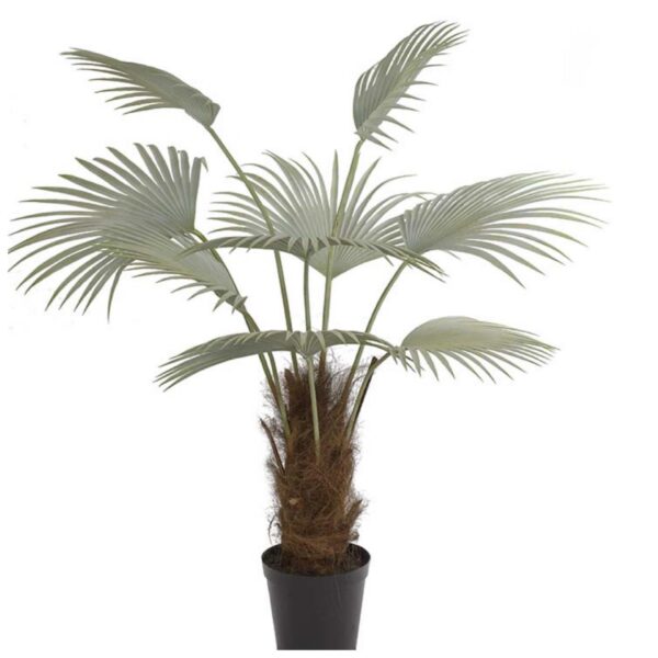Konstgjord Palm | Kinesisk Solfjäderspalm Grå 150 cm