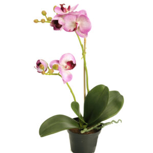 Orkidé | Konstgjord Phalaenopsis Lila 45 cm