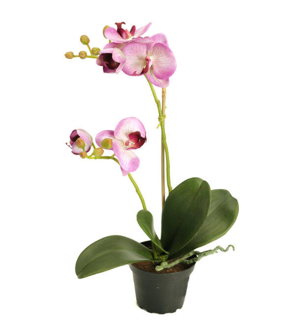 Orkidé | Konstgjord Phalaenopsis Lila 45 cm