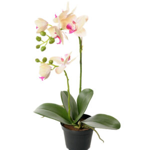 Orkidé | Konstgjord Phalaenopsis Gul/creme 45 cm